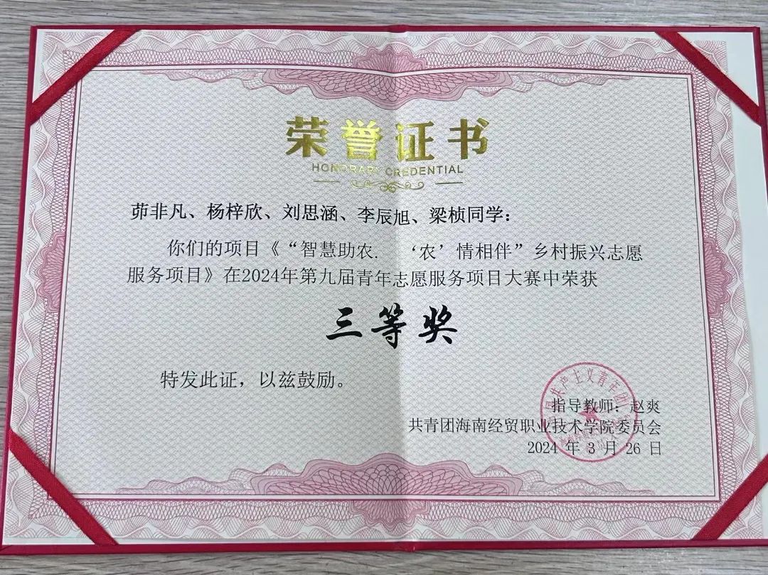 2024年第九届青年志愿服务项目大赛.jpeg